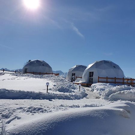 Glamping Pasieka Namiot Glamp Bukowina Tatrzanska - Domki W Gorach Groń Exteriör bild