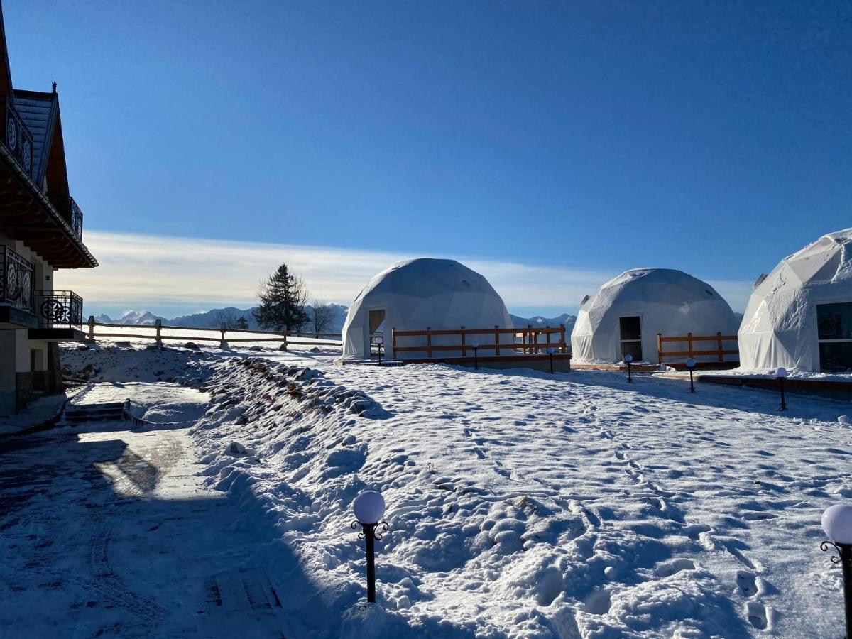 Glamping Pasieka Namiot Glamp Bukowina Tatrzanska - Domki W Gorach Groń Exteriör bild