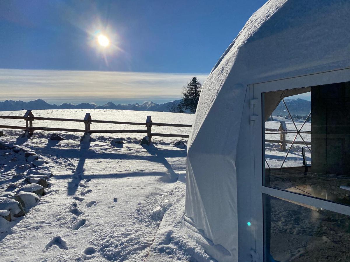 Glamping Pasieka Namiot Glamp Bukowina Tatrzanska - Domki W Gorach Groń Exteriör bild
