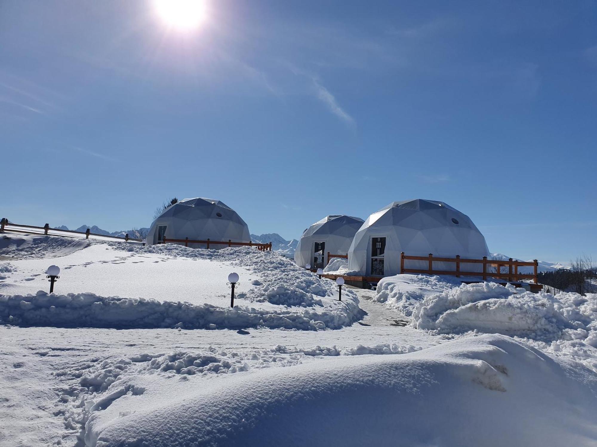 Glamping Pasieka Namiot Glamp Bukowina Tatrzanska - Domki W Gorach Groń Exteriör bild