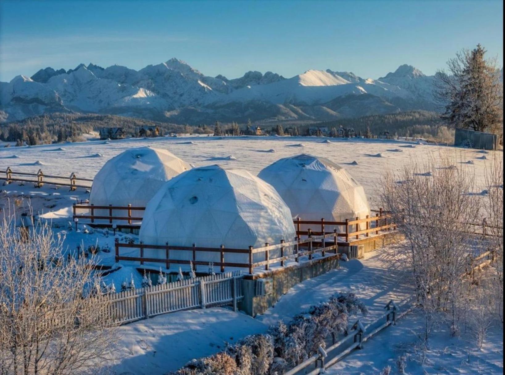 Glamping Pasieka Namiot Glamp Bukowina Tatrzanska - Domki W Gorach Groń Exteriör bild