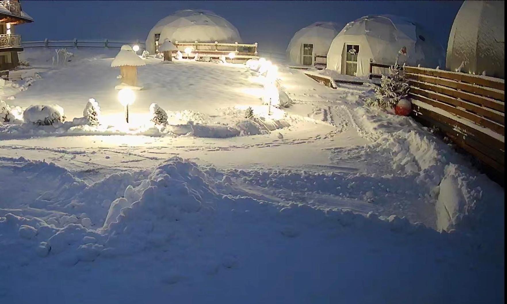 Glamping Pasieka Namiot Glamp Bukowina Tatrzanska - Domki W Gorach Groń Exteriör bild